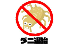 絨毯のダニ対策