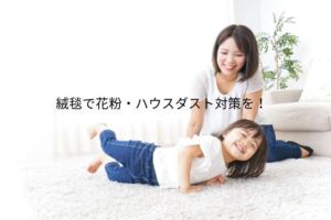 絨毯でハウスダスト対策を