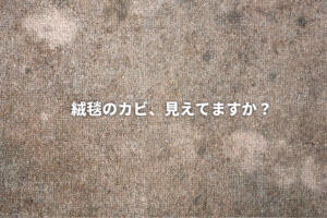 絨毯のカビ、見えていますか？