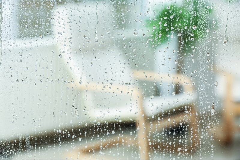 雨の日の絨毯のイメージ