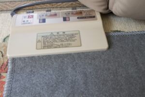 ホットカーペットも洗えます